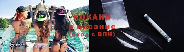 сатива Алзамай