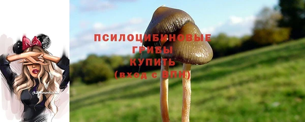 МДМА Абаза
